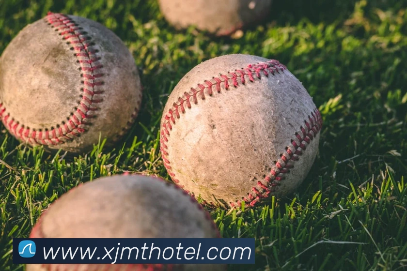 开云手机入口登录官网平台生态图