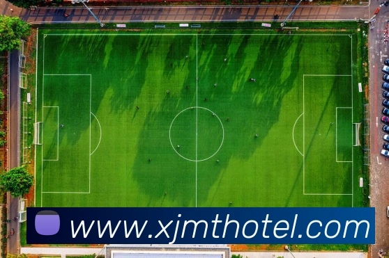 开云手机入口登录官网全站App